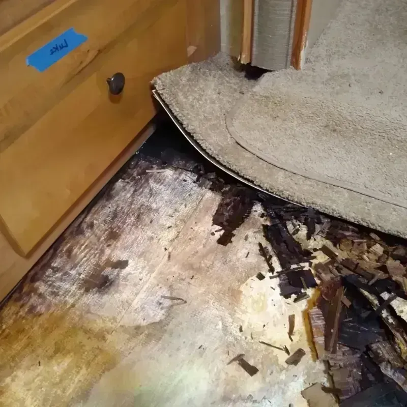 Best Wood Floor Water Damage Service in Chambers County, AL